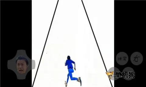 ��ɫ����