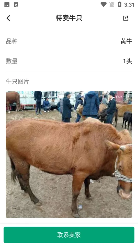 ���ţ��׿���ֻ���