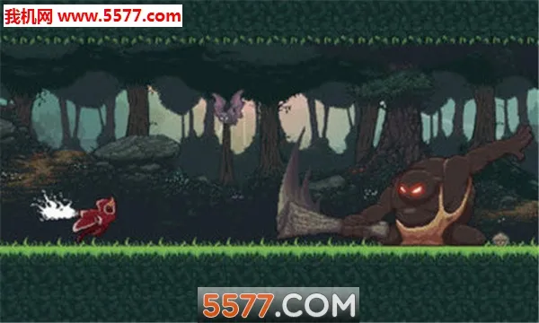 Ť���Ĺ���2026���°汾v2.4 ��׿���ͼ