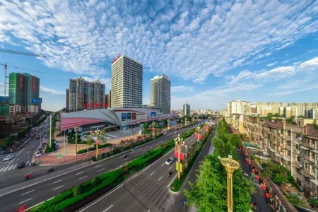 �������Ż���