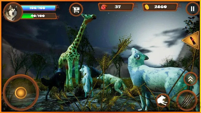 ����ģ����2026�ٷ�����