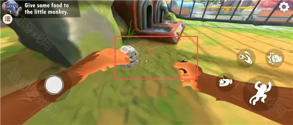 ����һֻ������