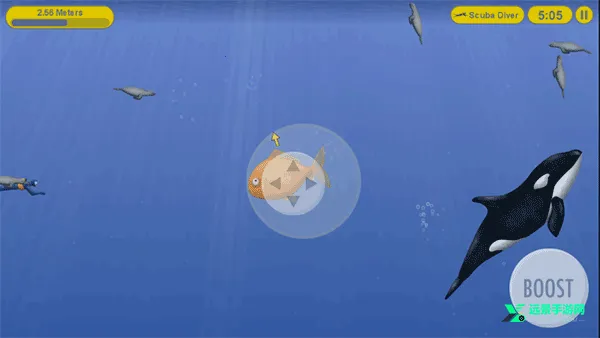 ��ζ�������������ֻ���