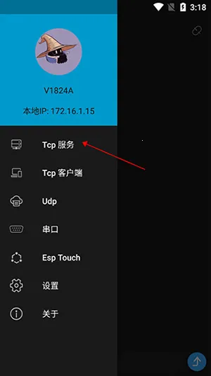 NetAssist�������