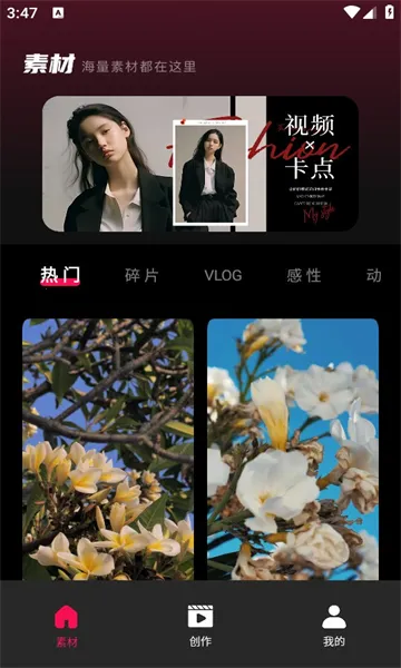 tibni���عٷ�����