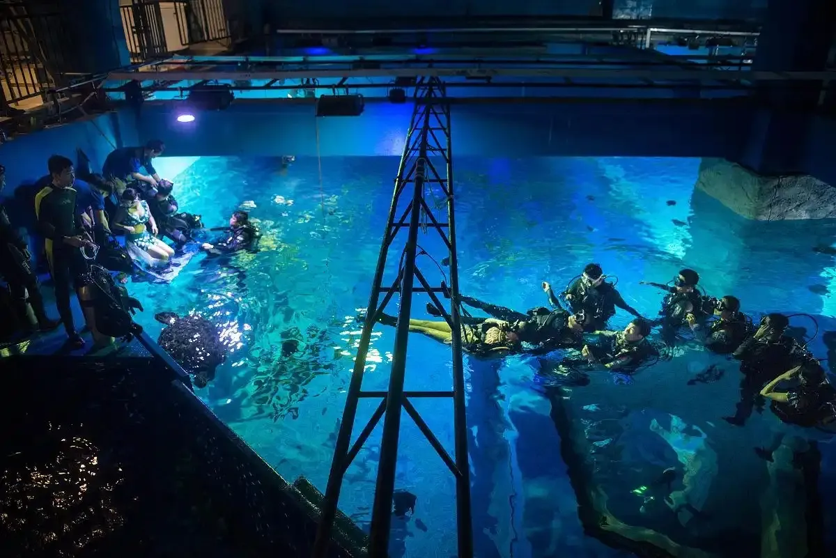 ��Ժ��������ΰ�