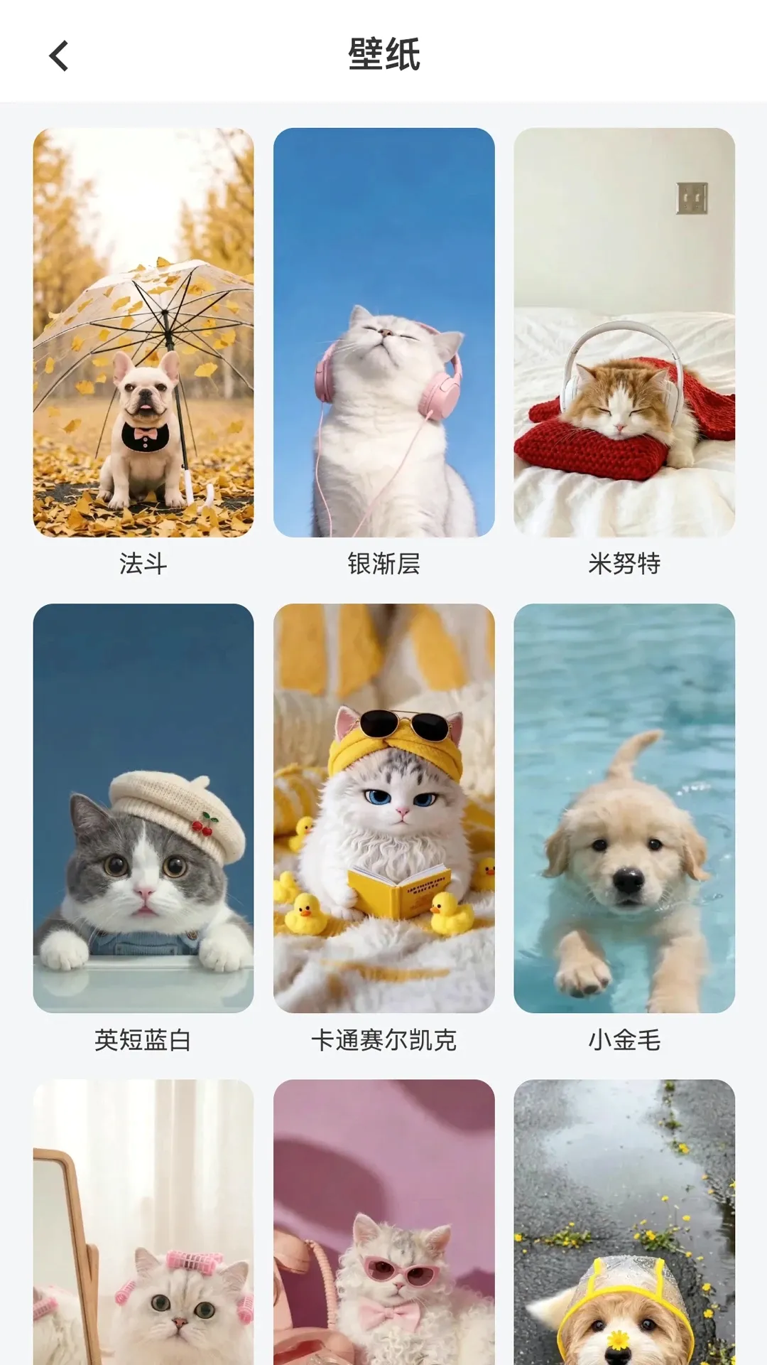 Ai爱宠 Ai爱宠