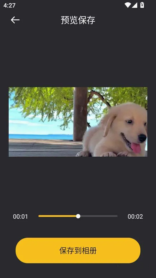 音范丝4k