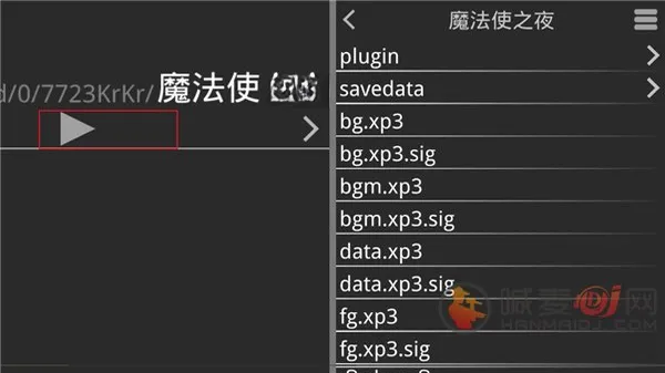 魔法使之夜直装版 魔法使之夜直装版