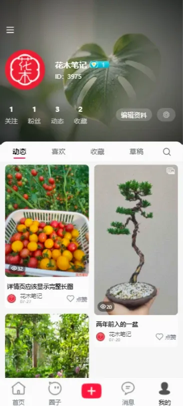 花木笔记 花木笔记