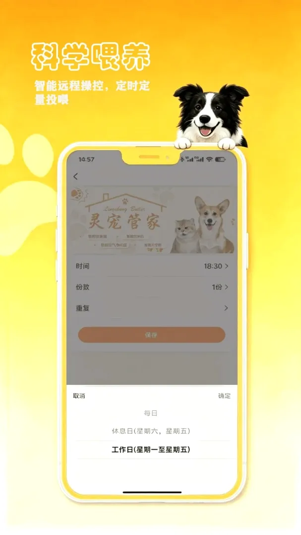 petCompanionR���ܼ�v1.0.17 ��Ѱ��ͼ