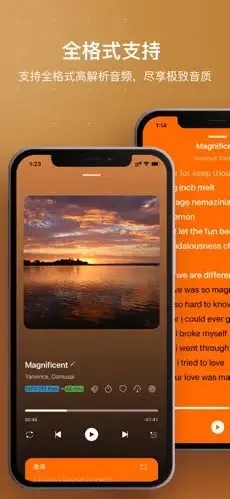 HiFier(���ֲ��Ź���)v1.0 �ٷ������ͼ