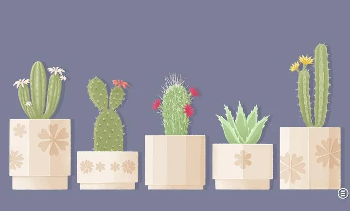 ����һ�㣺�����ǰ�׿���ֻ���v3.5.81 ��׿���ͼ