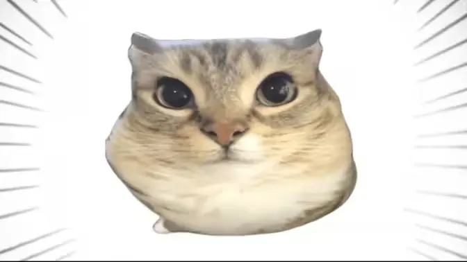 �ͰͲ�һ��׿���ֻ���v1.0 ��Ѱ��ͼ