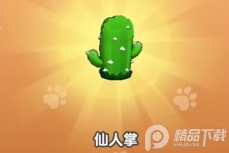 ��Ҫ��װ���ڹ��ƽ��