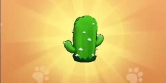 ��Ҫ��װ���ڹ��ƽ��