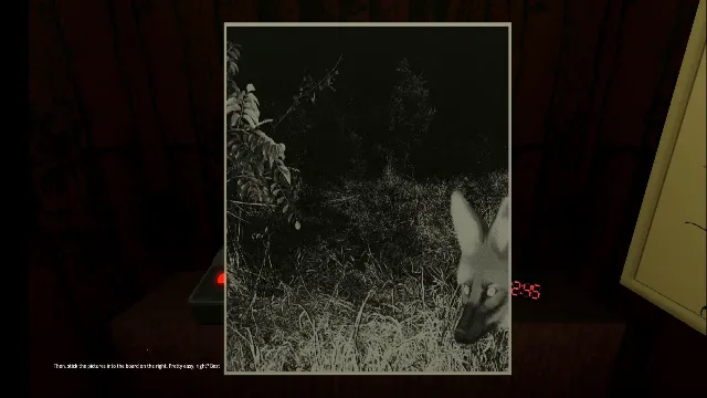 动物观察员恐怖游戏 动物观察员恐怖游戏