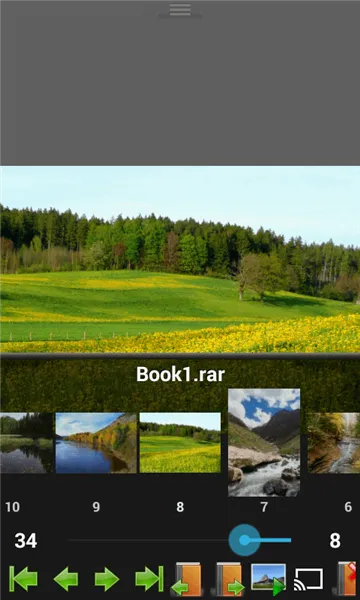 Perfect Viewer(�����Ķ���)