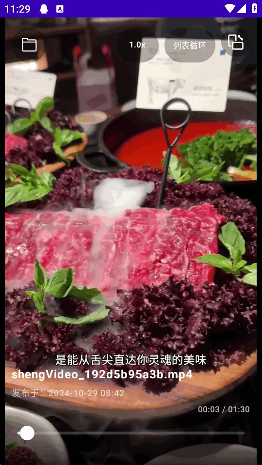 TikAlbum(�ļ�������)v1.0.0 �ֻ����ͼ