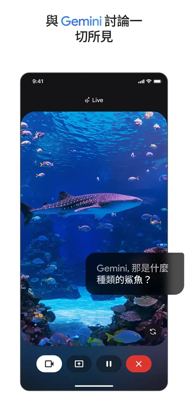 Gemini Live2026���°汾v1.0.1 ��Ѱ��ͼ