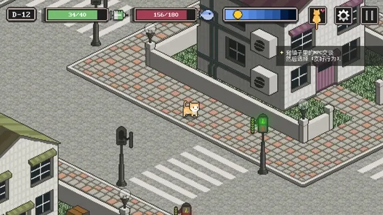 ����è����֮·2026�ٷ�����