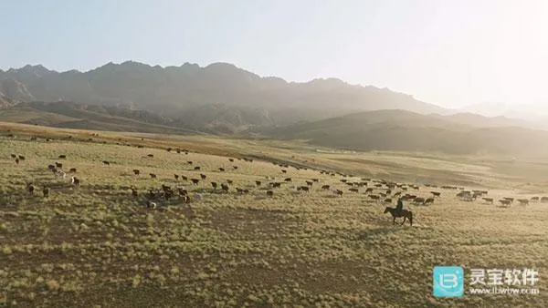 全聚合TV2026官方正版 全聚合TV2026官方正版