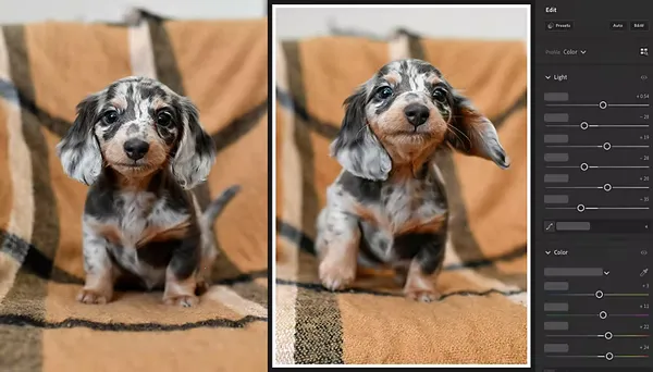 Lightroom2026�ٷ����°汾