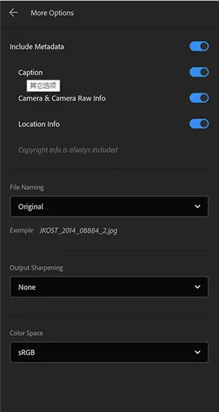 Lightroom2026�ٷ����°汾