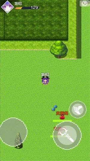 ��������2026�ٷ�����