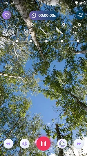 �������2026�ٷ�����