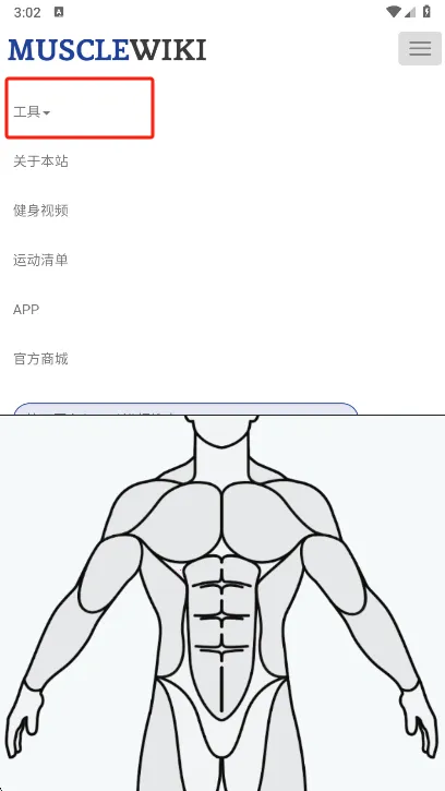 Muscle Wiki2026���°汾v3.0.9 ��׿���ͼ