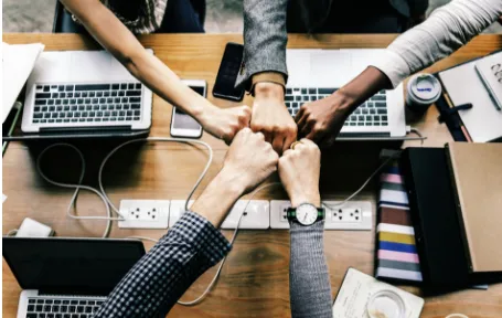 �鵥��Ƶ����(��Ƶ��������)