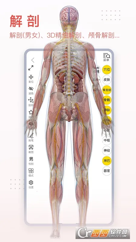 3dbody����app�������v8.8.72 �ٷ������ͼ