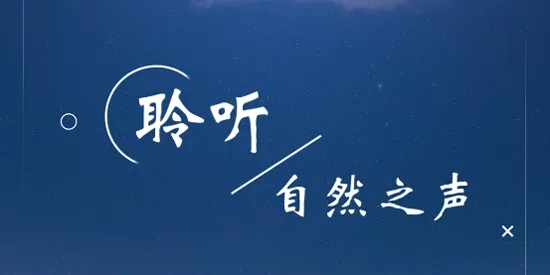 睡眠白噪音最新手机版 睡眠白噪音最新手机版