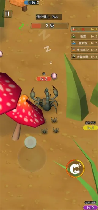 ����������Ҷ�2026���ذ�װ