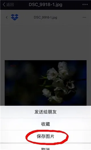 dropbox��׿���ֻ���