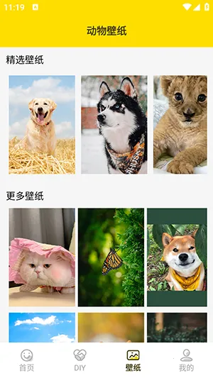 ���ӱ����2026���ذ�װv1.5 �ٷ������ͼ