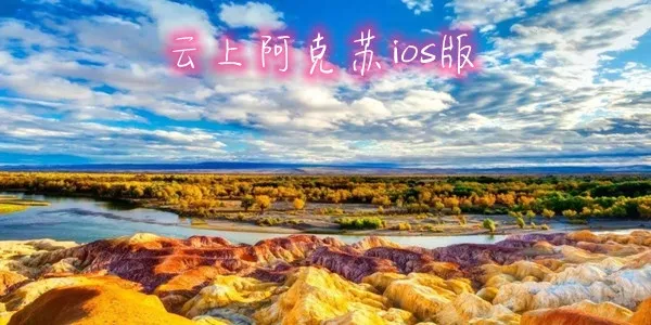 ���ϰ����������ֻ���