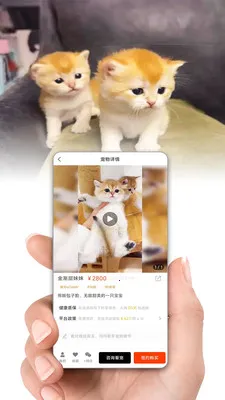 ����(���ɶ�������)v1.6.7 �ֻ����ͼ