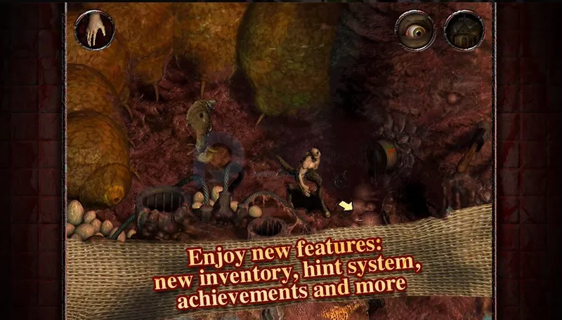 ����ԺSteam��ֲ�氲׿���ֻ���