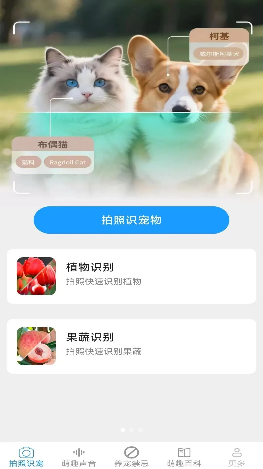 Ԫ�����谲׿���ֻ���v2.6.6.3 ��Ѱ��ͼ