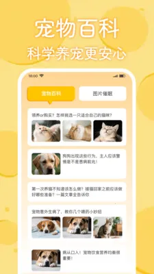 è�������﷭����(���﹵ͨӦ��)v1.0.2 ��׿���ͼ