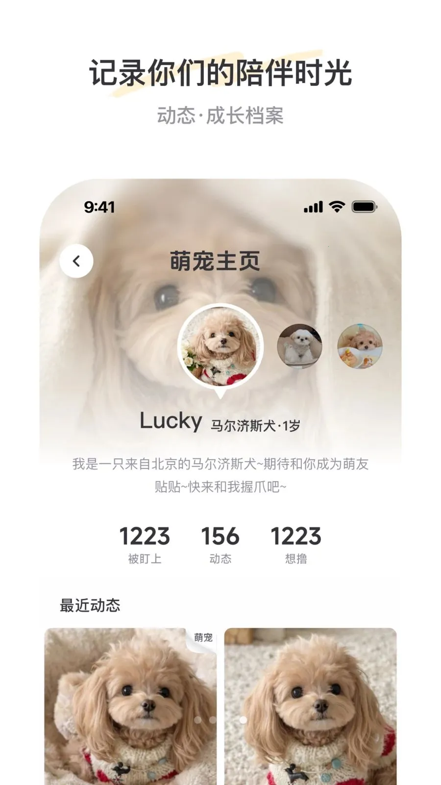 PetSpace��׿���ֻ���v1.0 �ֻ����ͼ