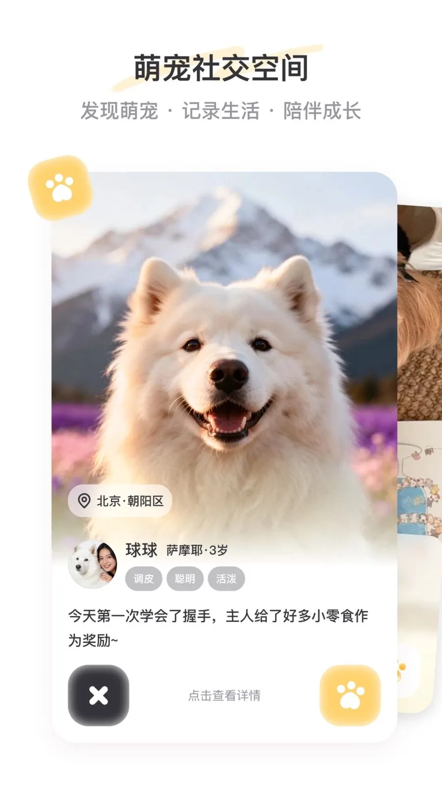 PetSpace��׿���ֻ���v1.0 �ֻ����ͼ