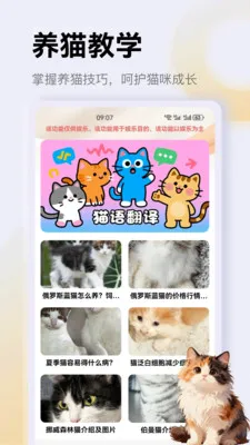 ����è��app2026�ٷ����°汾v1.4 ��Ѱ��ͼ