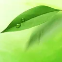��ҽִҵҽʦappv1.21 ��Ѱ�
