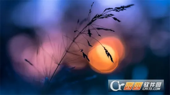 工作现场水印相机2026官方最新版本 工作现场水印相机2026官方最新版本
