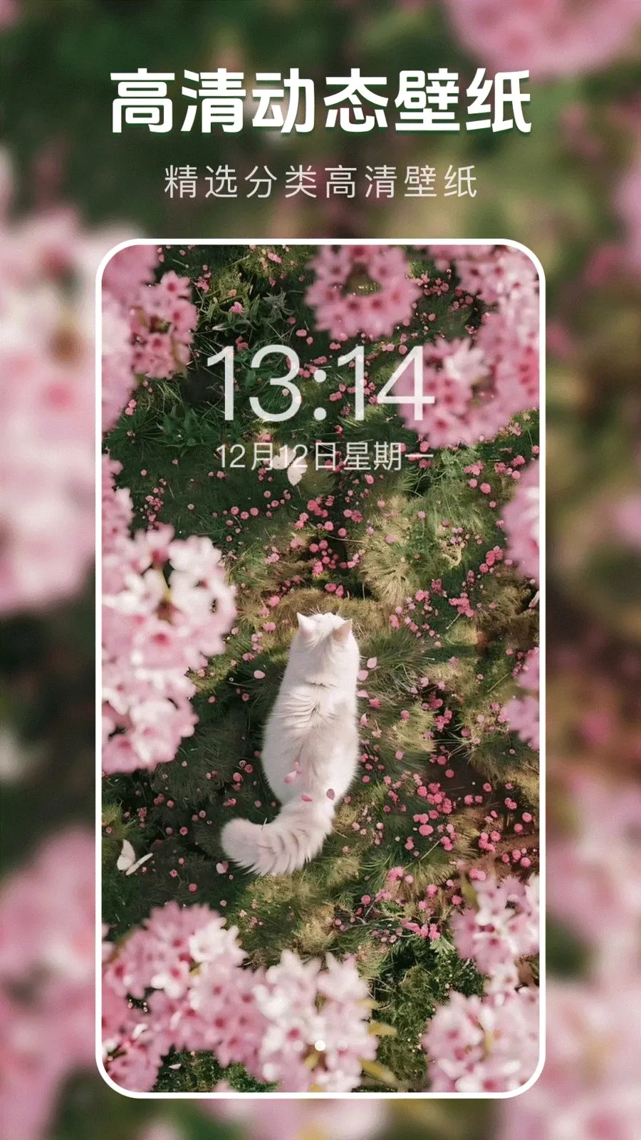 ��̬�����ֽ��v1.0.0 ��׿���ͼ