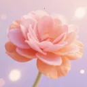 үү�İٲ��û���2026�ٷ����°汾v1.5 �ֻ���