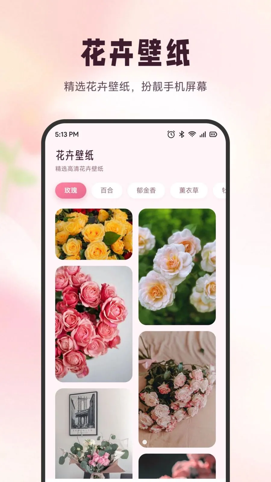 ѩ�ڻ���v1.5 ��Ѱ��ͼ